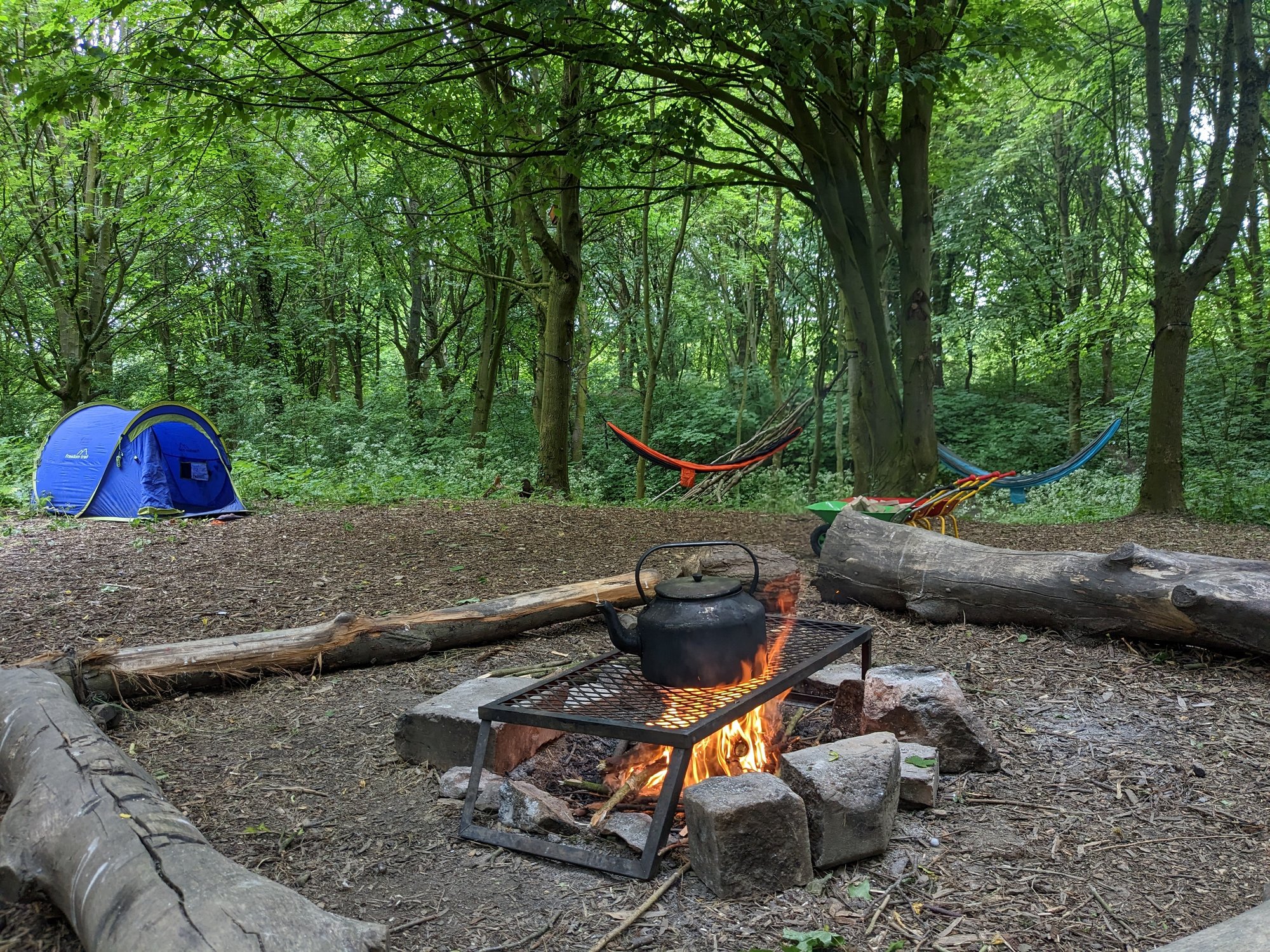 PXL_20230608_082227788.MP