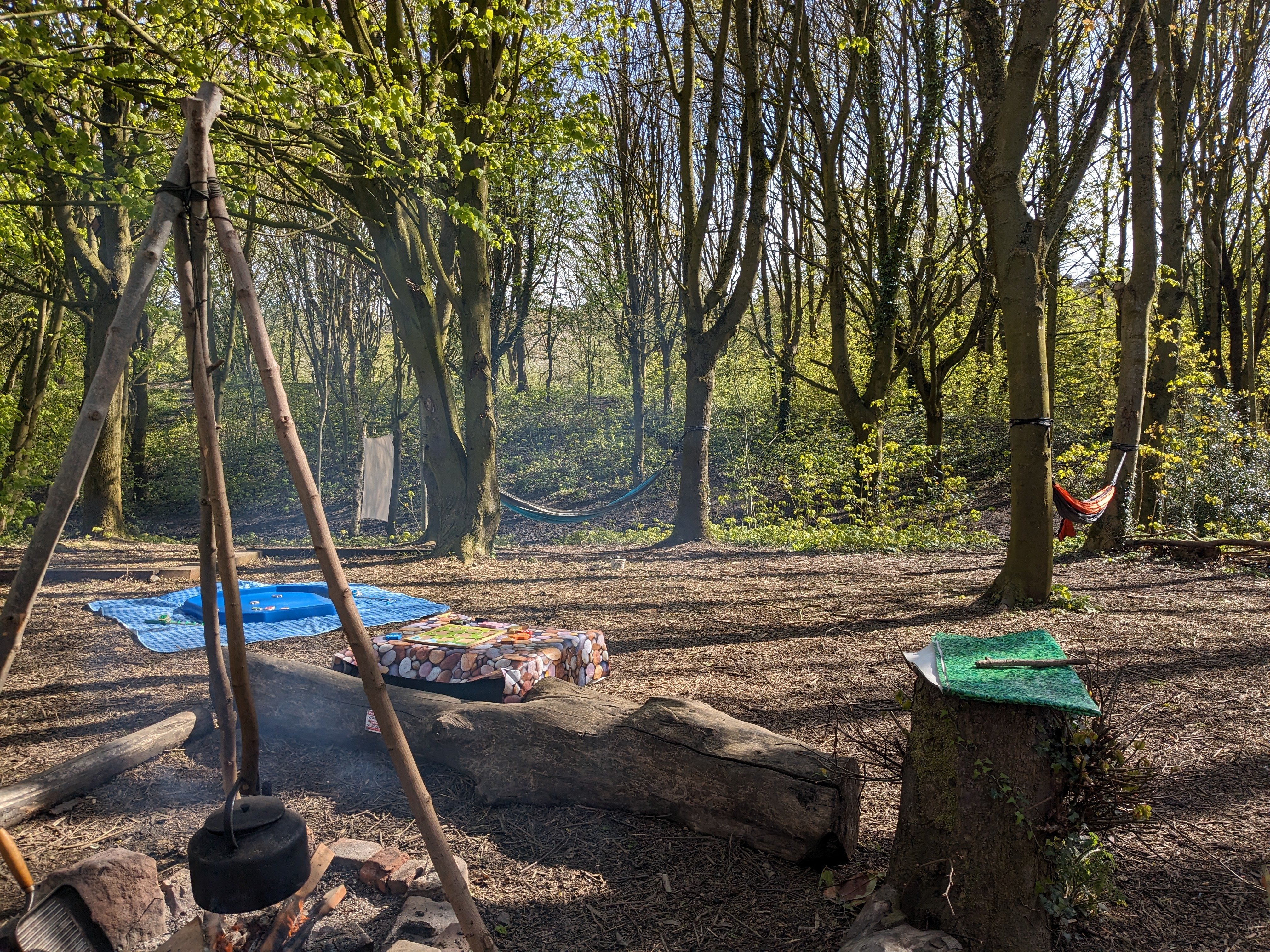 PXL_20240418_085745492