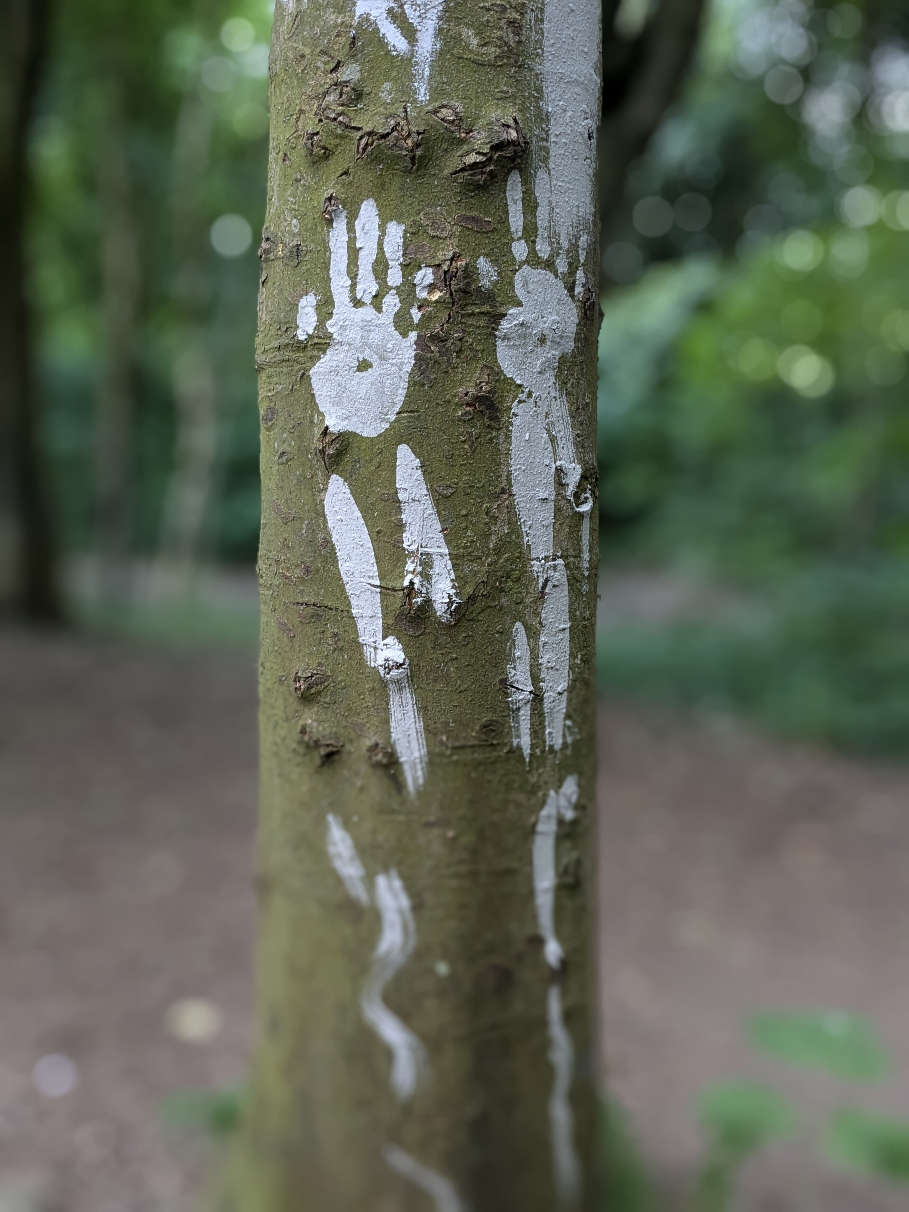 PXL_20240628_174011193.PORTRAIT