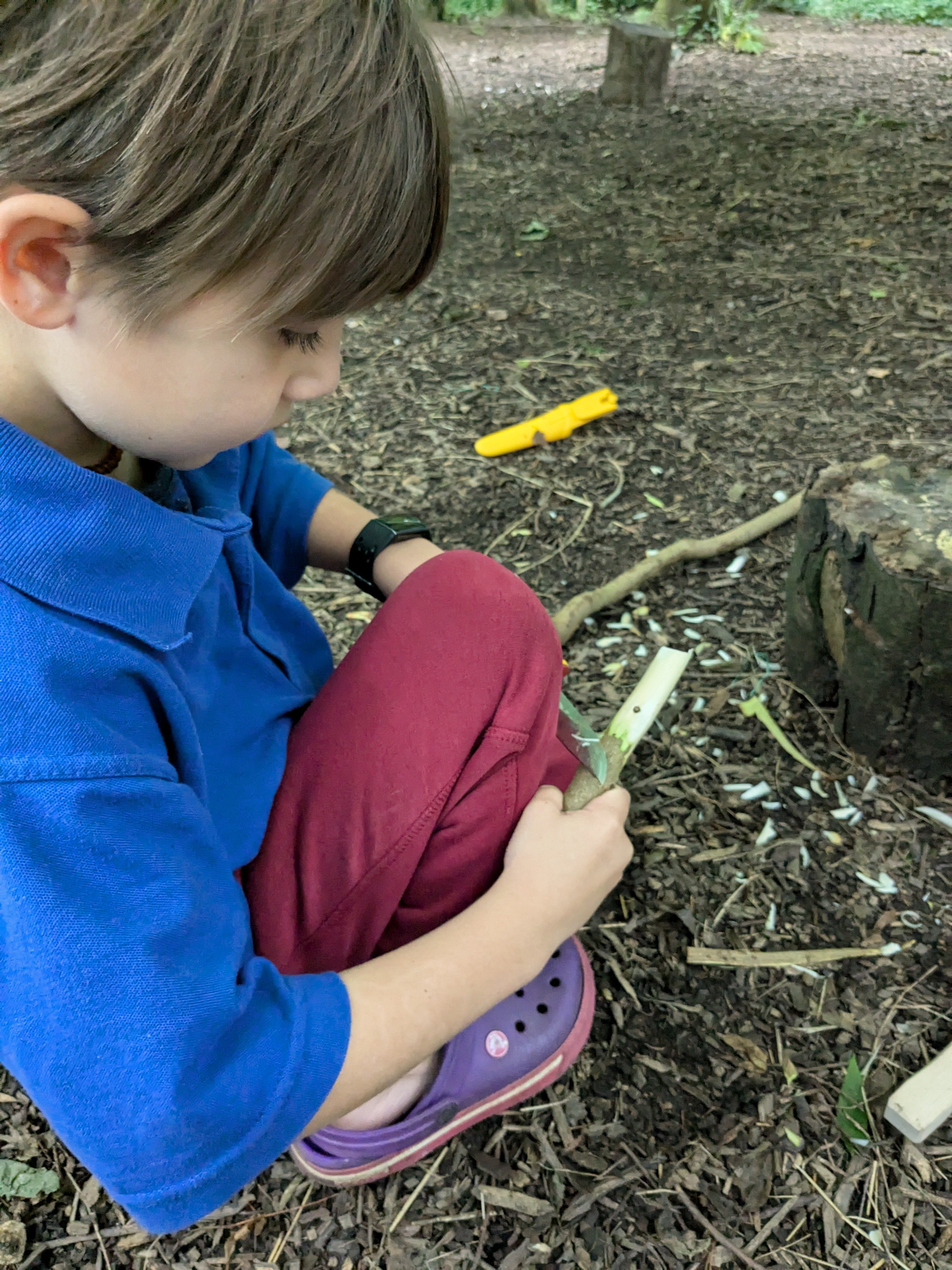 PXL_20240715_165734044