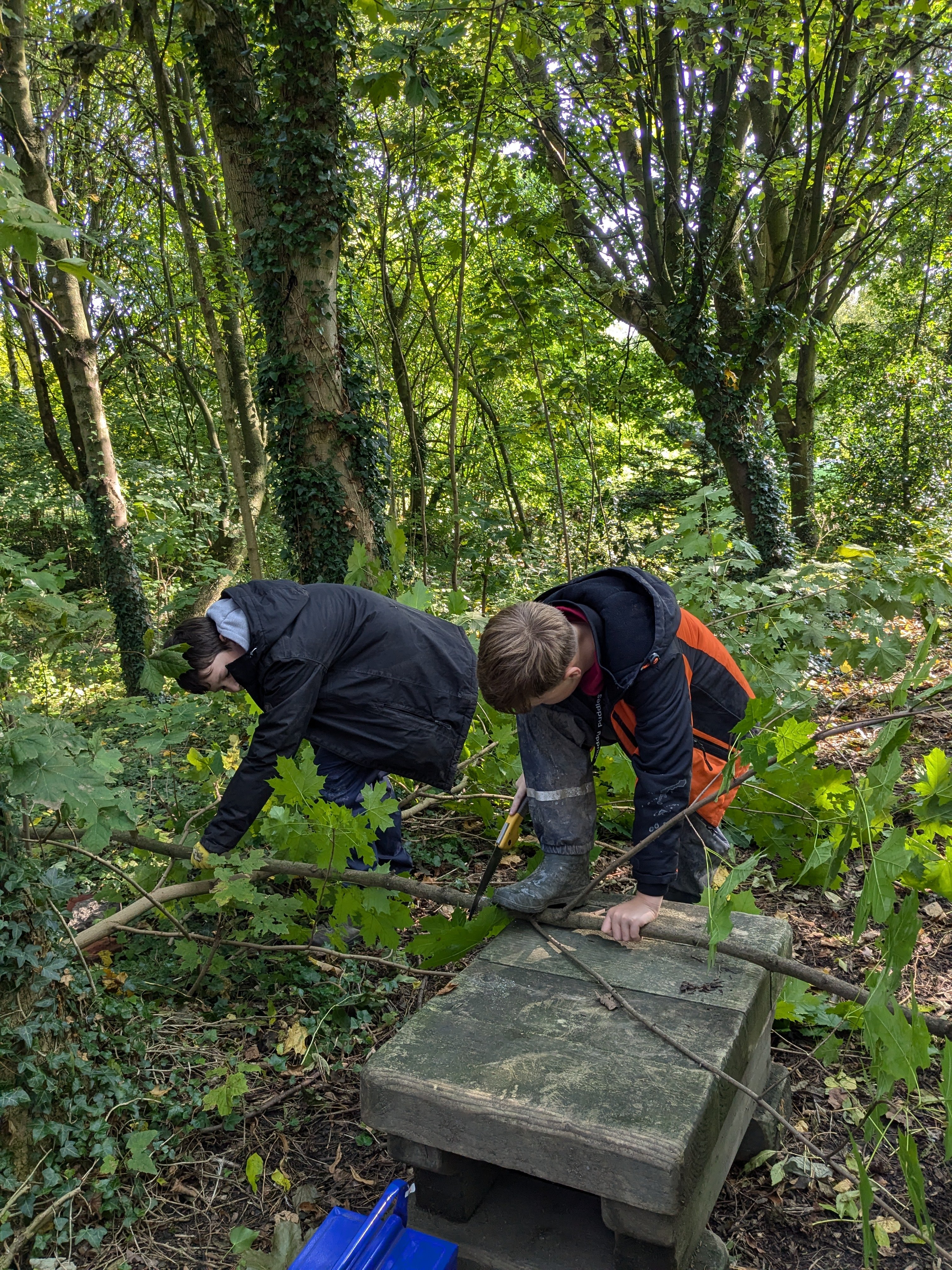 PXL_20241005_103957923