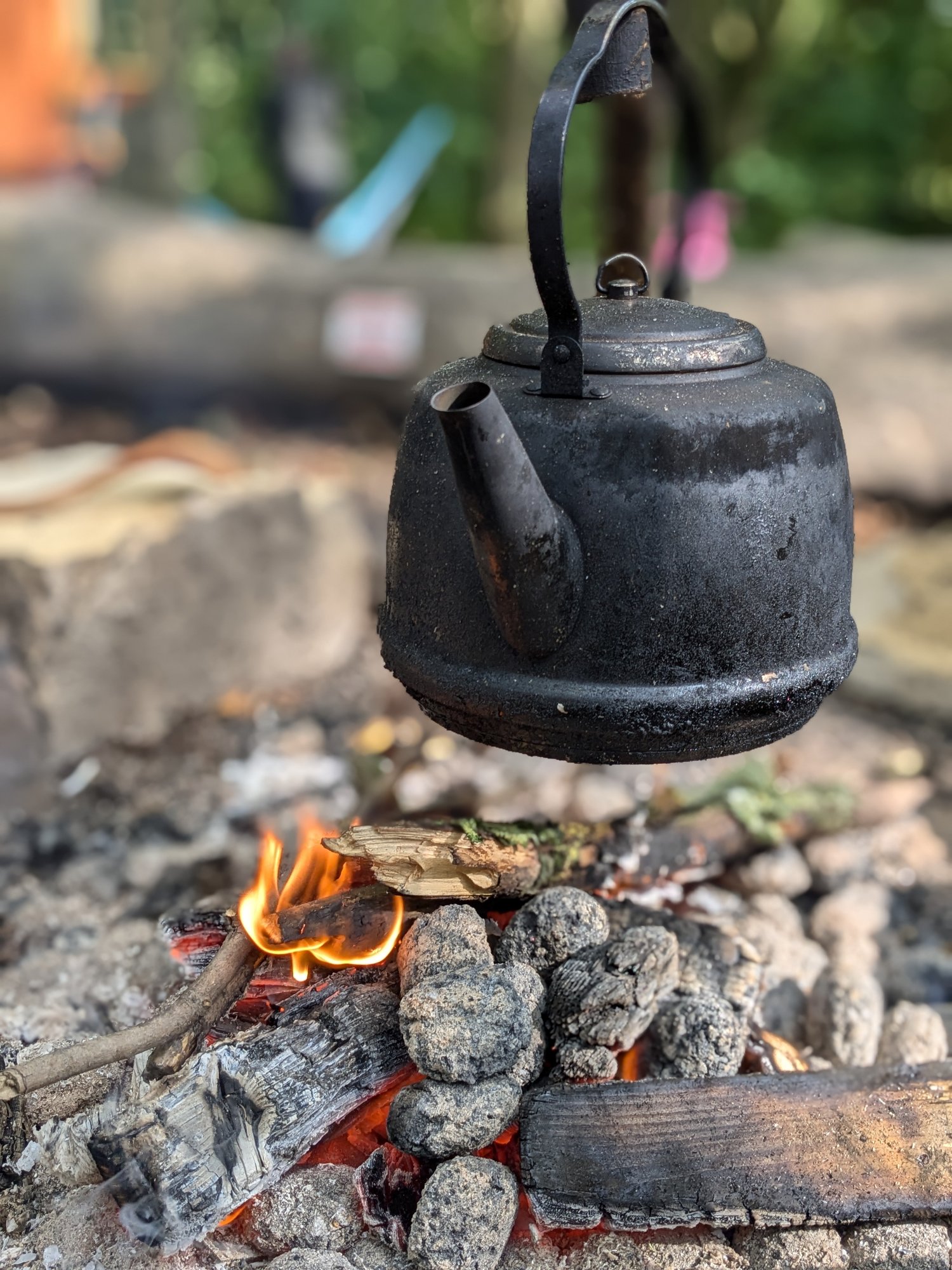 PXL_20241005_115510049.PORTRAIT