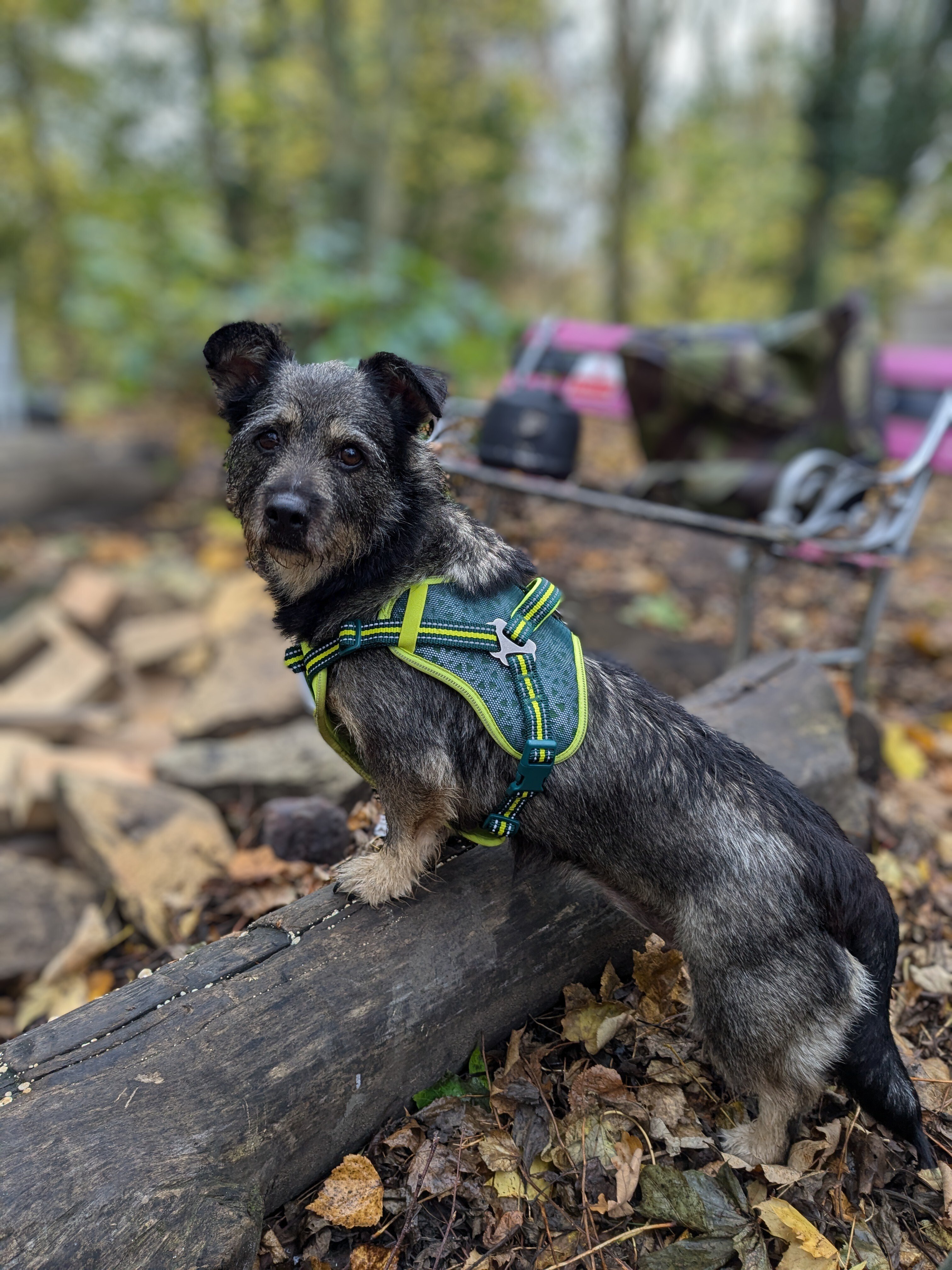 PXL_20241102_093419794~3