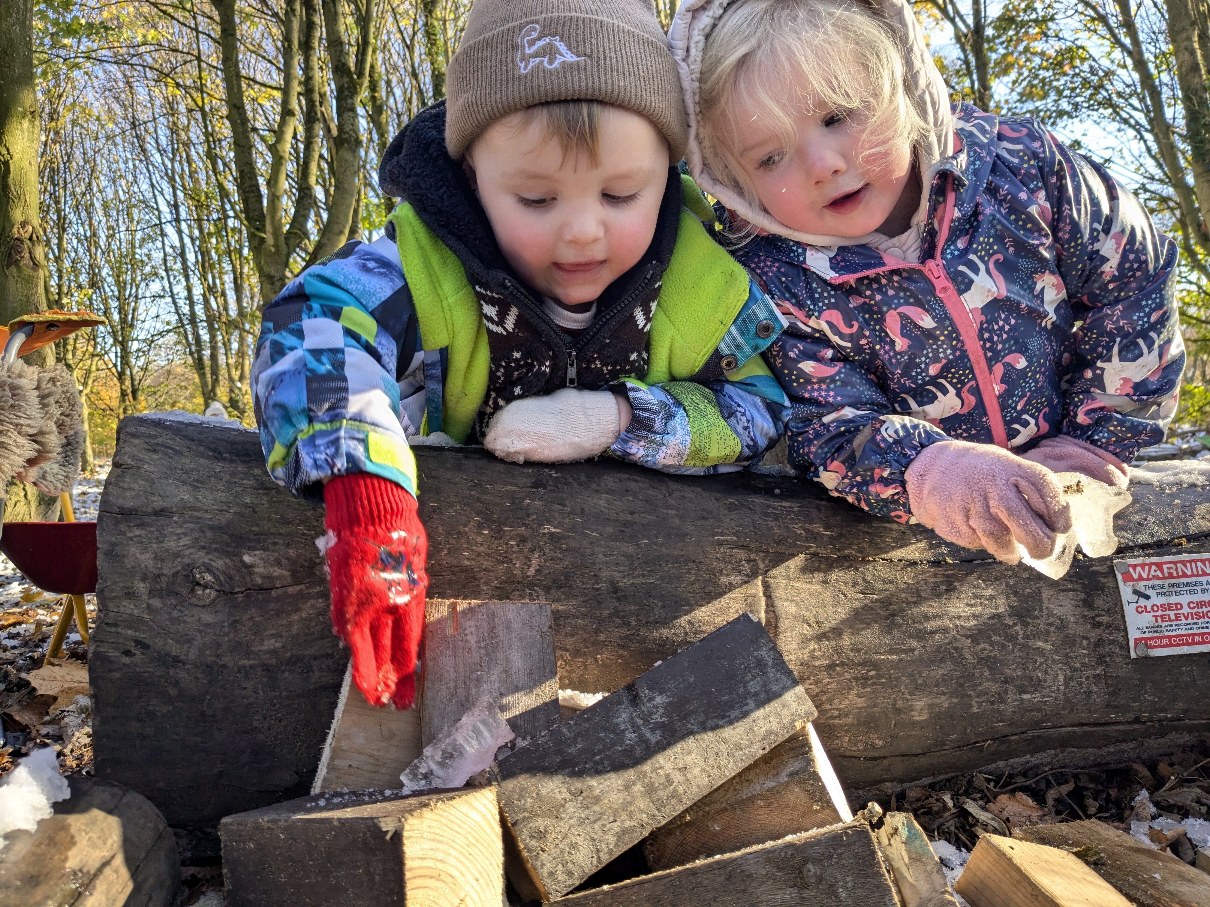 PXL_20241121_105903567.MP