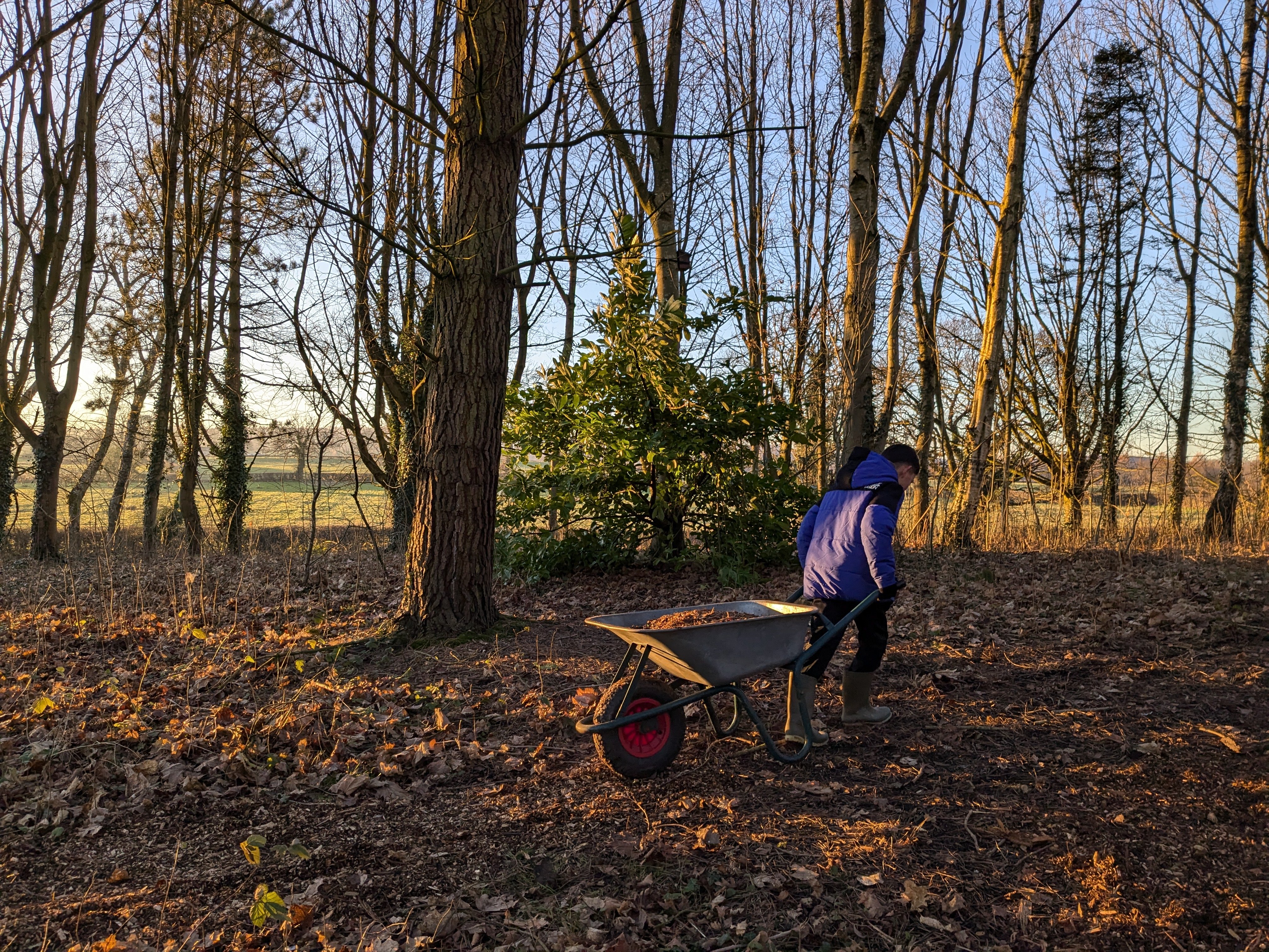 PXL_20250116_154354677