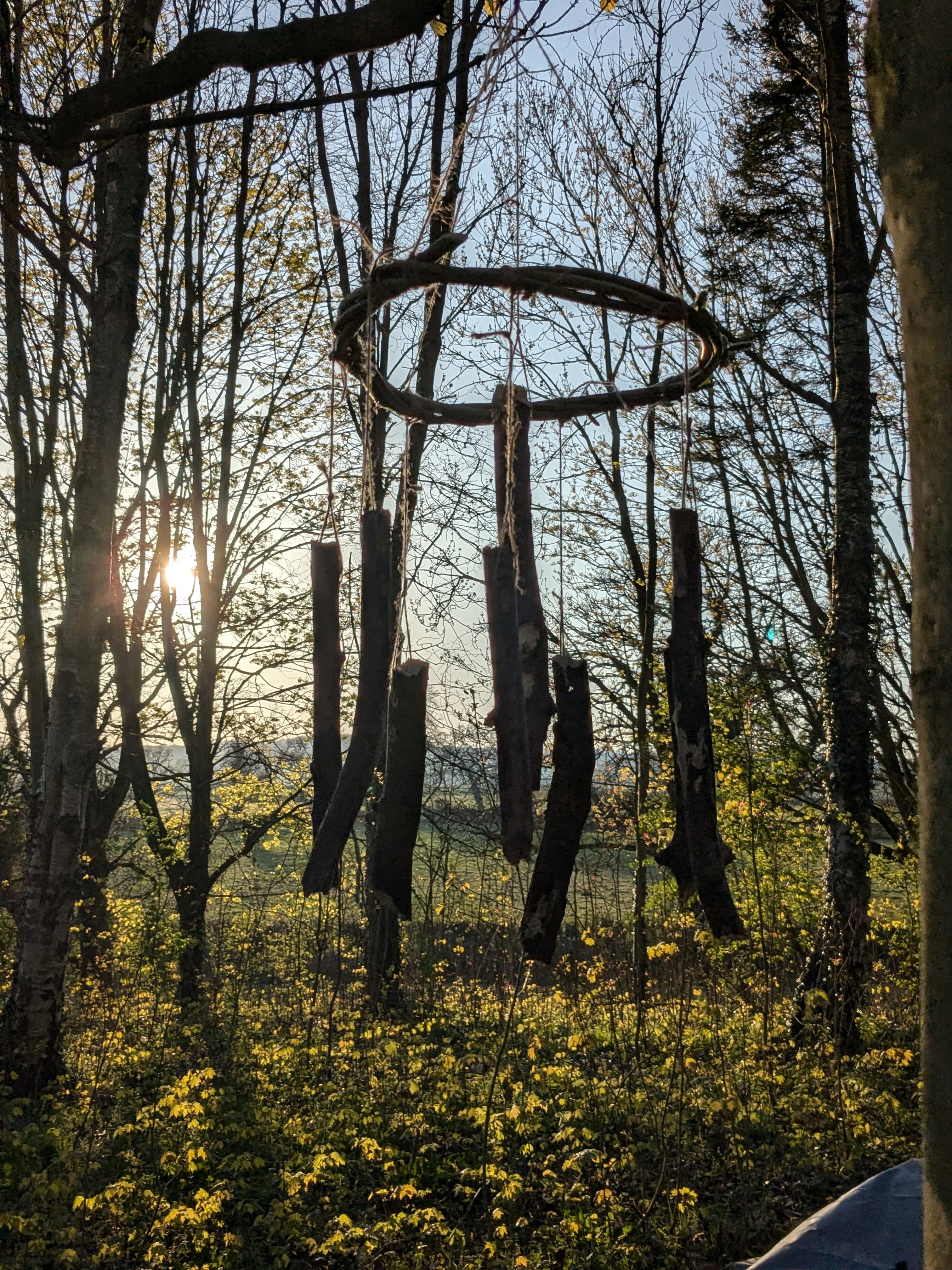 PXL_20250410_174806998.PORTRAIT.ORIGINAL