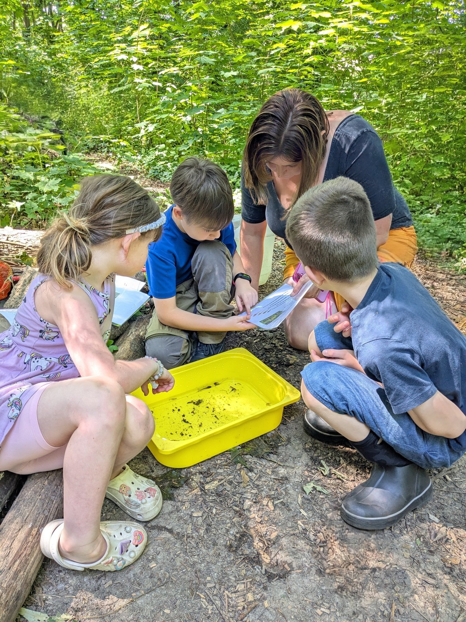 PXL_20250619_103058257.MP~2