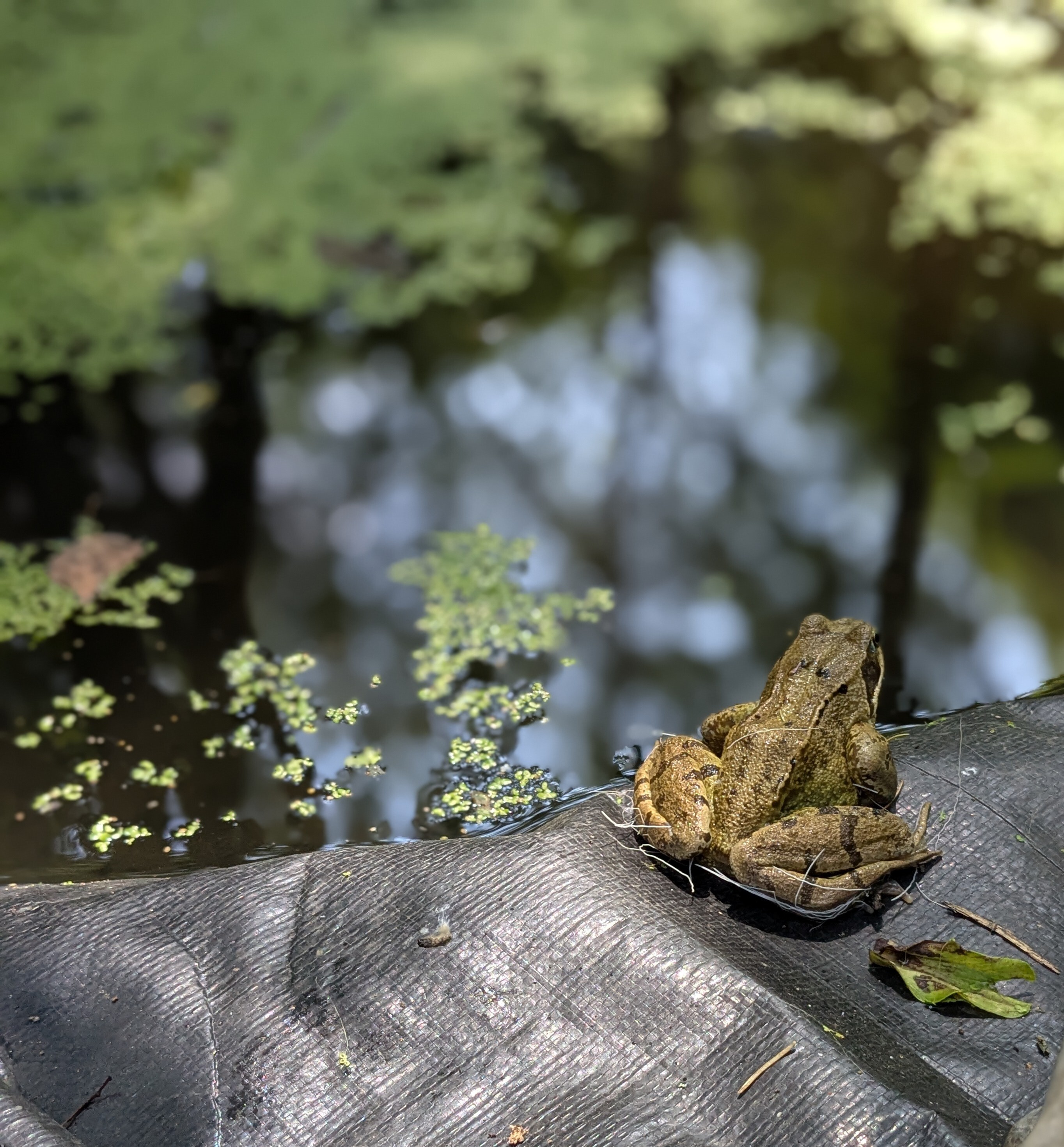 PXL_20250611_123726272.PORTRAIT